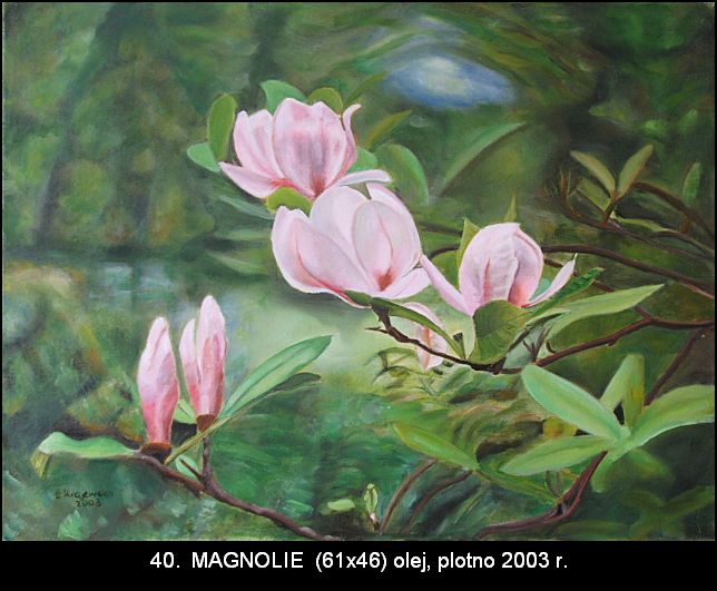 40.magnolie_op.jpg